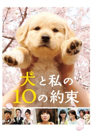 10 Promises to My Dog (2008) thumbnail